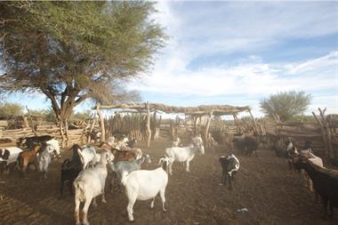 El riesgo más urgente de la inactividad de la planta, es que el pueblo de Jáchal tiene que seguir usando entonces el agua que saca del río Jáchal