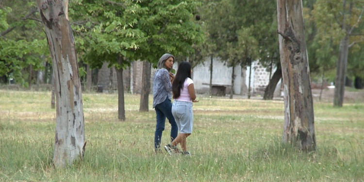 Prevención del suicidio adolescente: el programa "Fijar dato" de Unidiversidad fue reconocido por la Legislatura